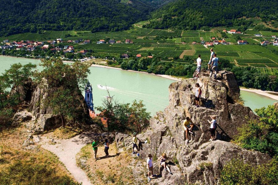 Grape Grazing: Wachau Valley Winery Biking Tour - Lunch in a Family-Run Village Restaurant