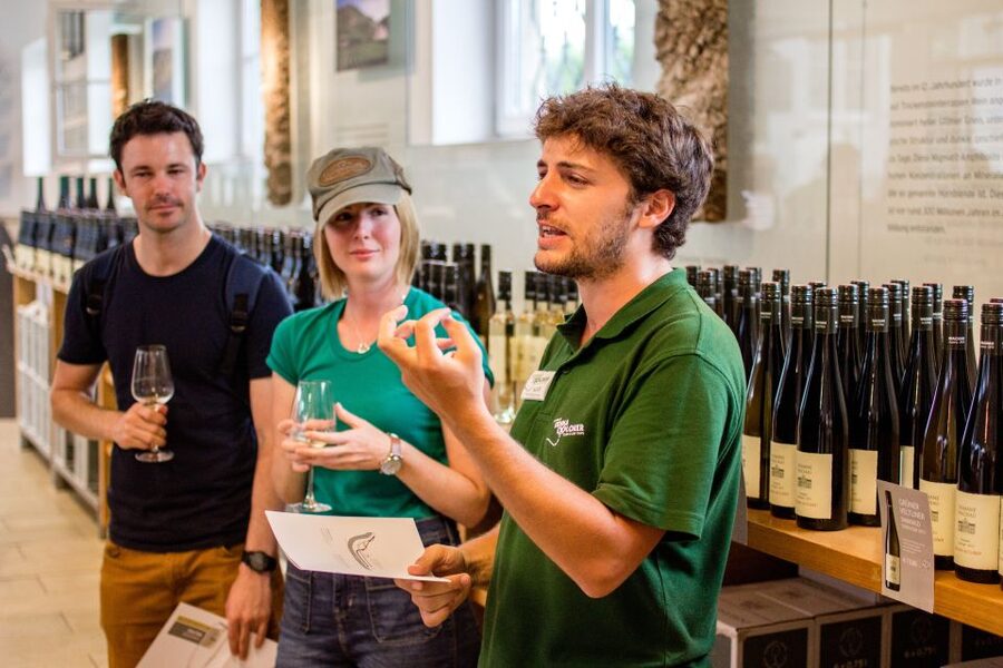 Grape Grazing: Wachau Valley Winery Biking Tour - What the $163 Price Really Buys You