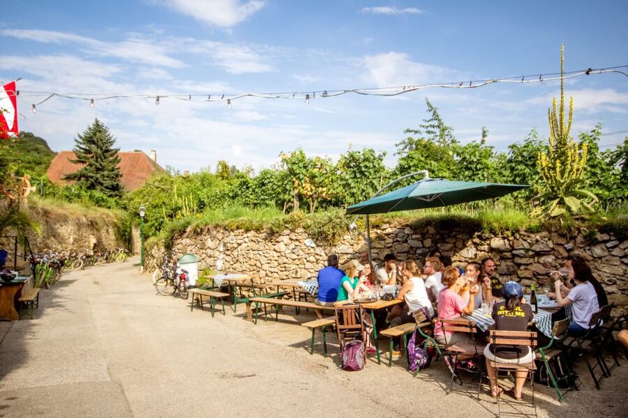 Grape Grazing: Wachau Valley Winery Biking Tour - Who Will Enjoy This Day Most