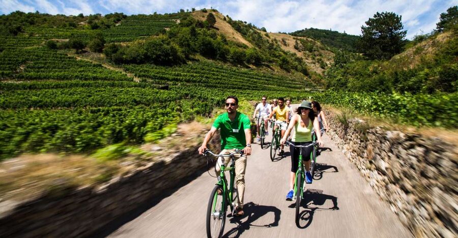 Grape Grazing: Wachau Valley Winery Biking Tour - The First Ride Through Krems and the Vineyards