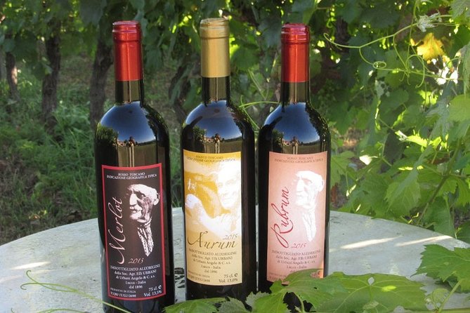 Guided E-Bike Tour with Wine Tasting from Lucca - Practical details that can affect your day