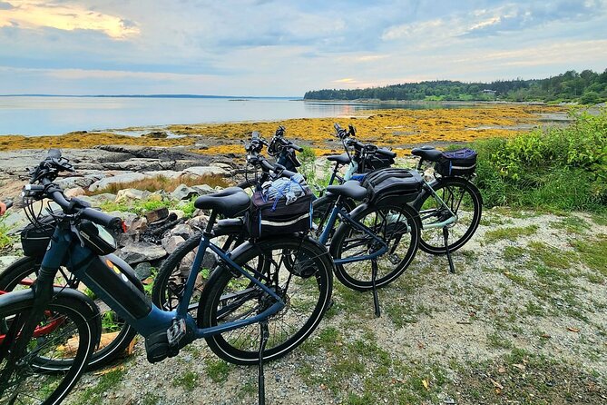 Guided Ebike Tour of Acadia National Park Carriage Roads - The quiet five miles to Bubble Pond