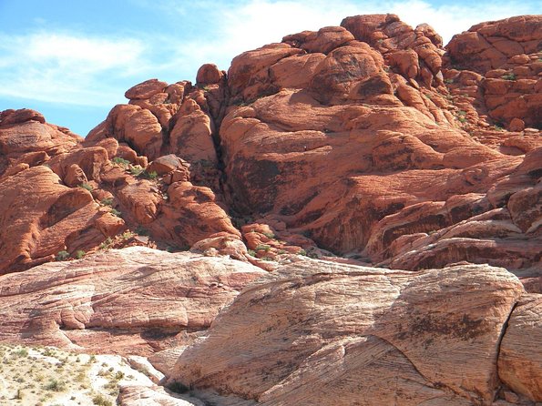 Guided Mountain Bike Tour of Mustang Trail in Red Rock Canyon - Desert scenery without giving up your Las Vegas base