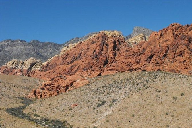 Guided Mountain Bike Tour of Mustang Trail in Red Rock Canyon - Is $149.99 a fair price?