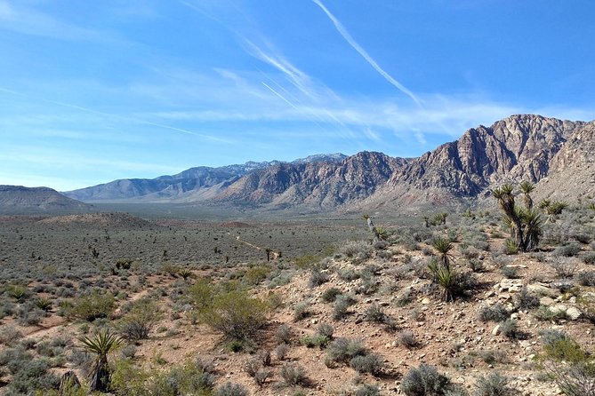 Guided Mountain Bike Tour of Mustang Trail in Red Rock Canyon - Who should book this ride?