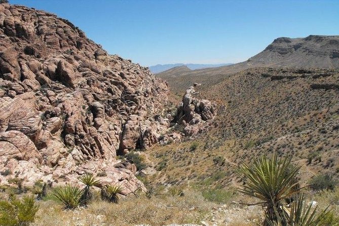 Guided Mountain Bike Tour of Mustang Trail in Red Rock Canyon - Choosing your bike and getting ready