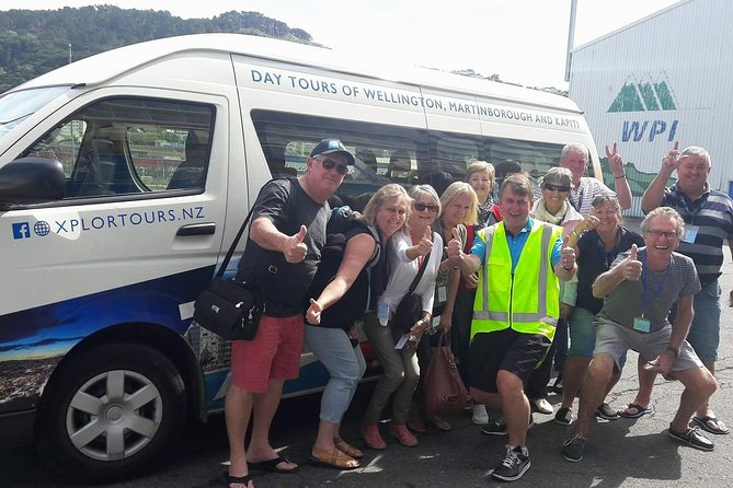 Guided Wellington Tour by Electric Bike - The Zephyrometer and Wellington’s serious wind