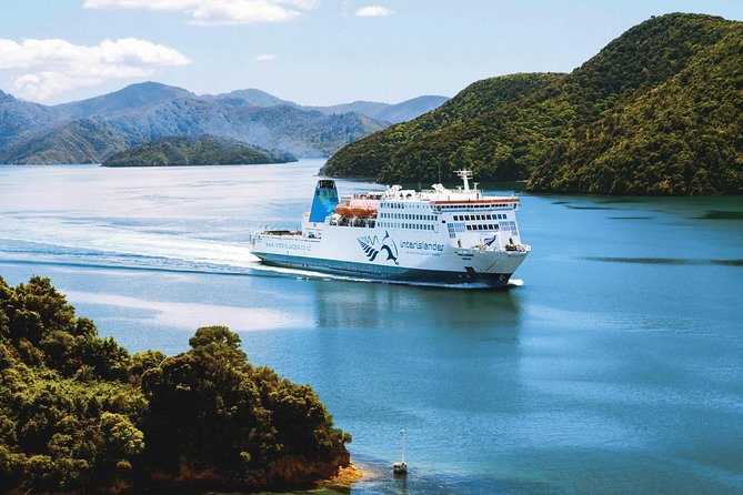 Guided Wellington Tour by Electric Bike - Coastal views and the Maupuia Walkway