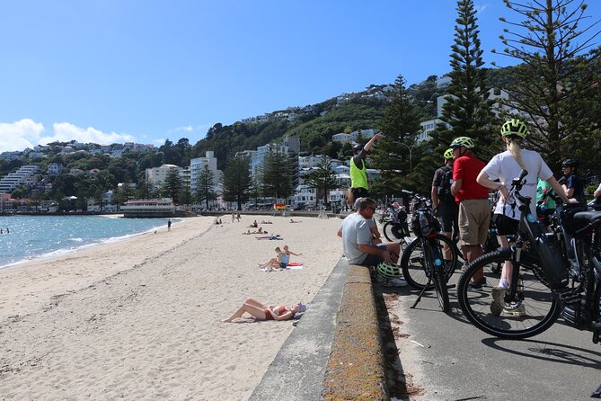 Guided Wellington Tour by Electric Bike - Te Wharewaka o Poneke and the return ride