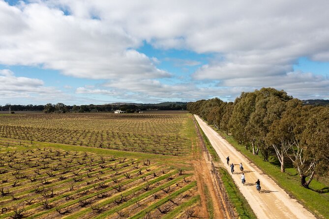 Hahndorf food and wine E-Bike Tour - Electric bikes make the Adelaide Hills more approachable