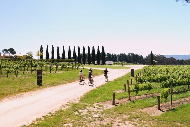Hahndorf food and wine E-Bike Tour - Shaw and Smith brings the first serious wine flight