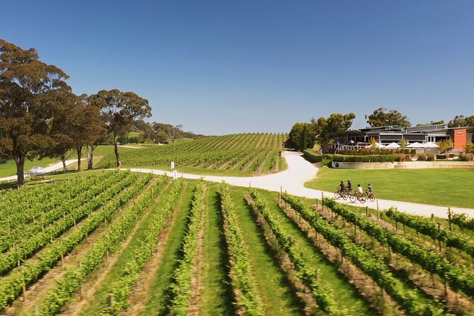 Hahndorf food and wine E-Bike Tour - Finishing with Taste the Lane
