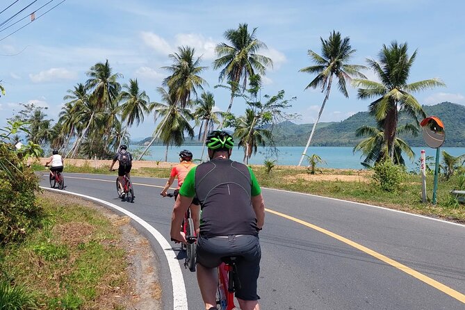 Half-Day Countryside Cycling Small-group Tour in Phuket - Thalang’s pineapple fields, rubber trees, and village roads