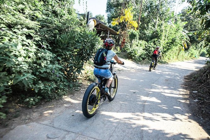 Half-day E-bike Countryside and rice paddies (flat land, GUIDED) - Rice paddies, orchards, and village roads