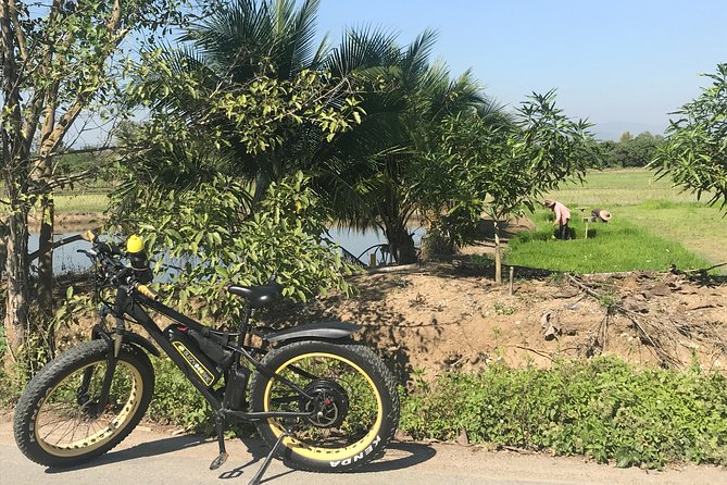 Half-day E-bike Countryside and rice paddies (flat land, GUIDED) - The Ping River and quieter views
