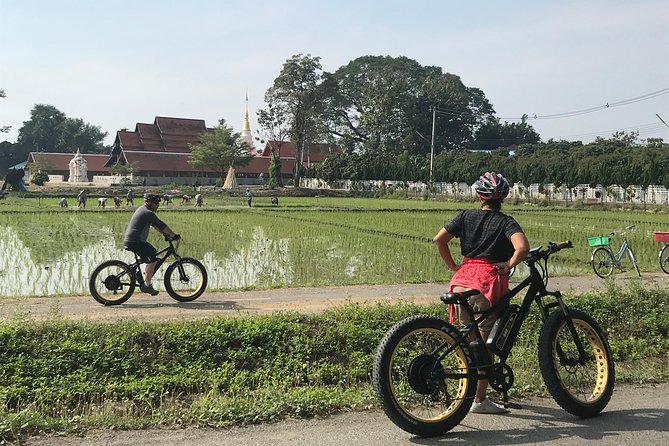 Half-day E-bike Countryside and rice paddies (flat land, GUIDED) - Lunch, snacks, and what is included