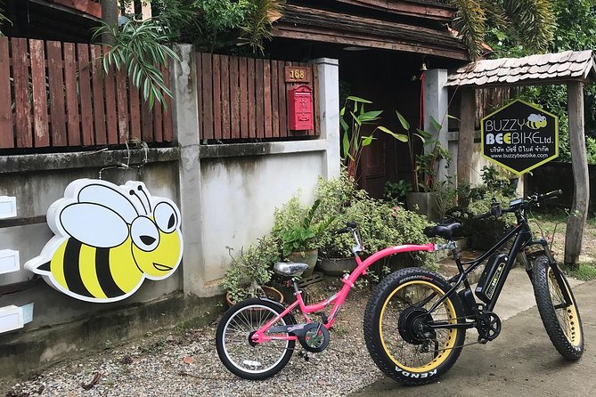 Half-day E-bike Countryside and rice paddies (flat land, GUIDED) - Wat Ton Kwen and the Lanna beginning