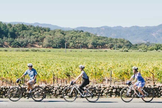 Half-Day Napa Winery E-Bike Tour - The winery stop: Monticello or another local estate