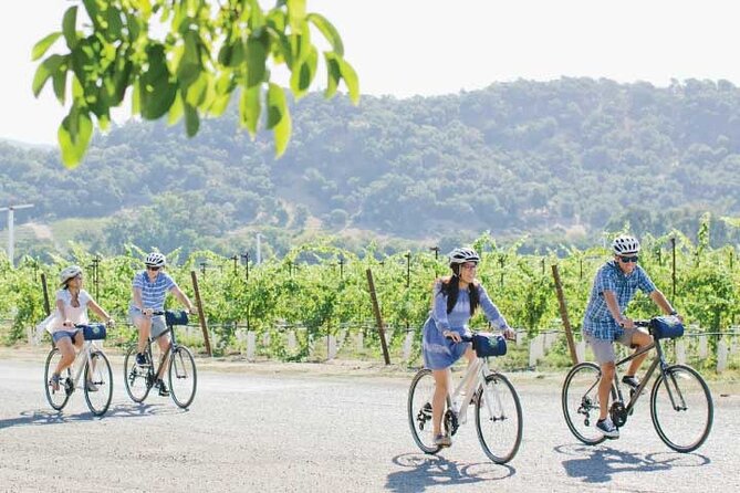 Half-Day Napa Winery E-Bike Tour - What $169 really buys you