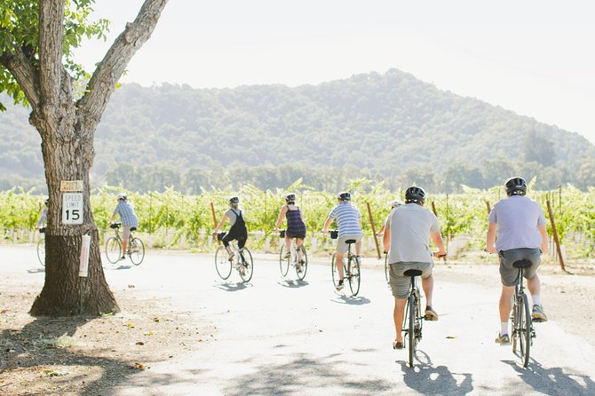 Half-Day Napa Winery E-Bike Tour - Who will enjoy this tour most