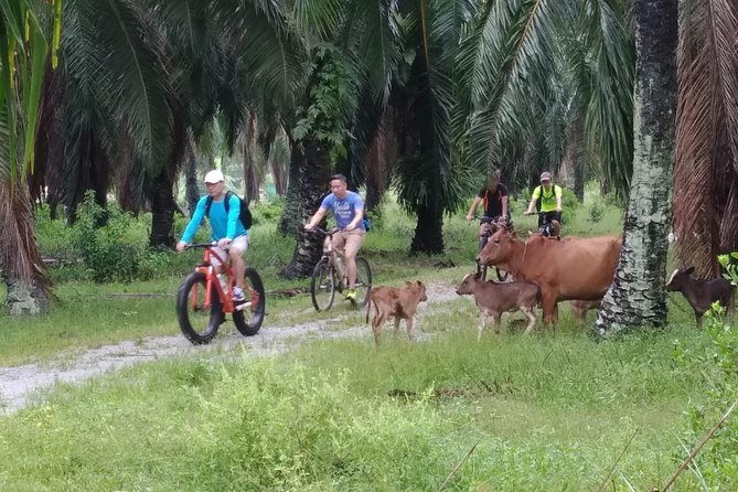 Half-Day Penang Countryside Cycling Tour - Why Balik Pulau makes a good cycling target