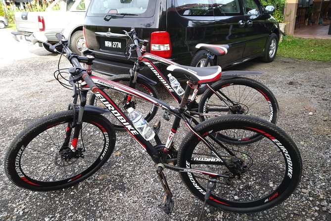 Half-Day Penang Countryside Cycling Tour - What the $32.31 price really covers