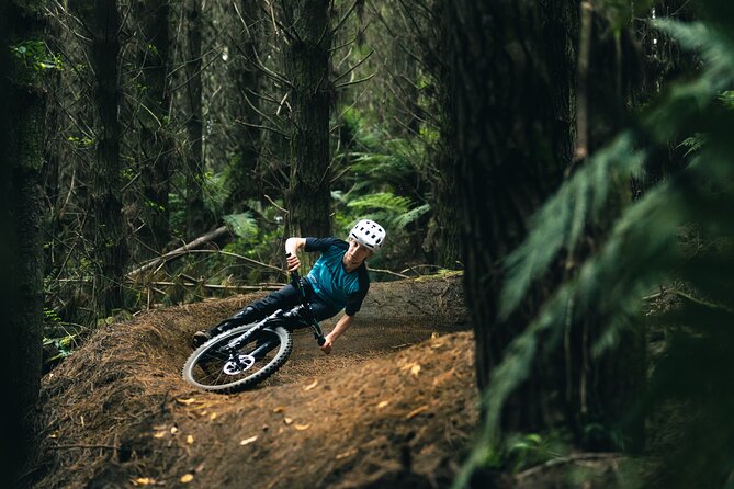 Half-Day Self-Guided Mountain Bike Journey through Whakarewarewa Redwood Forest - Who should book this experience?
