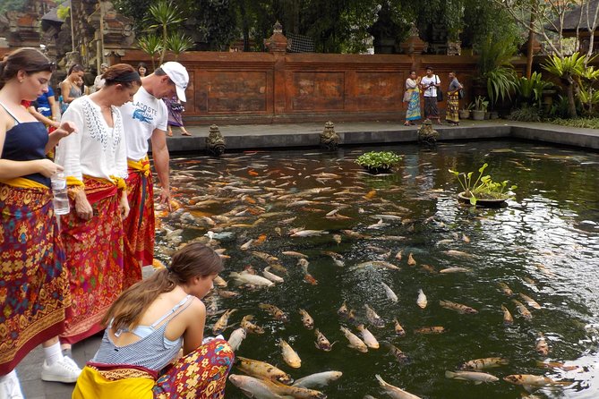 Half-Day Ubud Electric Cycling Tour to Tirta Empul Water Temple - A quiet start outside central Ubud