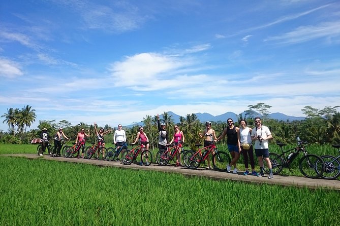 Half-Day Ubud Electric Cycling Tour to Tirta Empul Water Temple - What the guides add to the ride