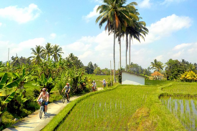 Half-Day Ubud Electric Cycling Tour to Tirta Empul Water Temple - Who will enjoy this tour most?