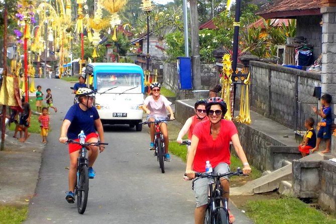 Half-Day Ubud Electric Cycling Tour to Tirta Empul Water Temple - Should you book the Tirta Empul e-bike tour?
