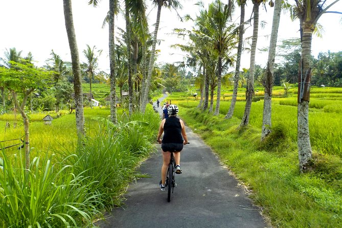 Half-Day Ubud Electric Cycling Tour to Tirta Empul Water Temple - Rice paddies, village roads, and a more personal side of Ubud