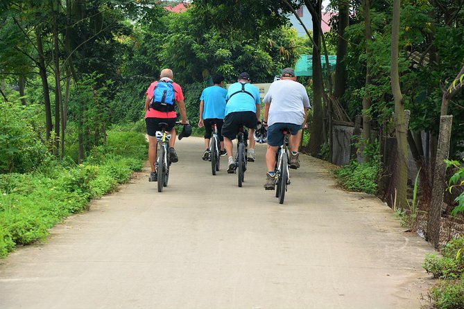 Hanoi Bicycle Tours: Half Day Bicycle Tours Hanoi Countryside - Co Loa Citadel and the cultural stops