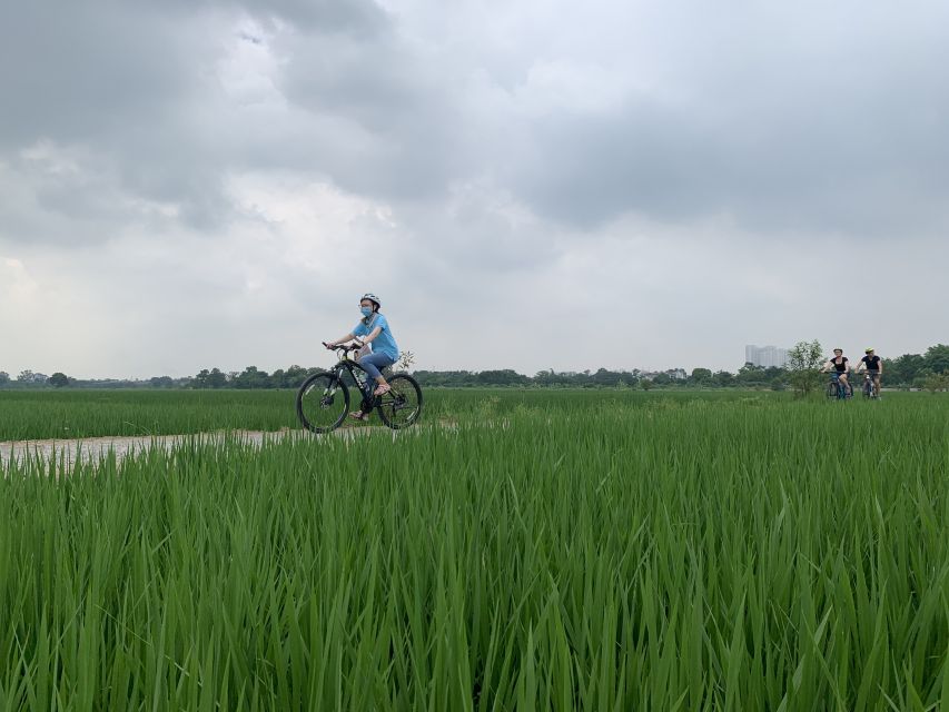 Hanoi: Bike Tour Through Hidden Gems and Banana Island - What the traffic is really like