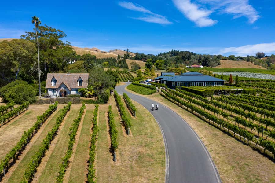 Hawke's Bay: Self Guided Coast to Vineyards Cycle Tour - Four wineries, four different ways to finish