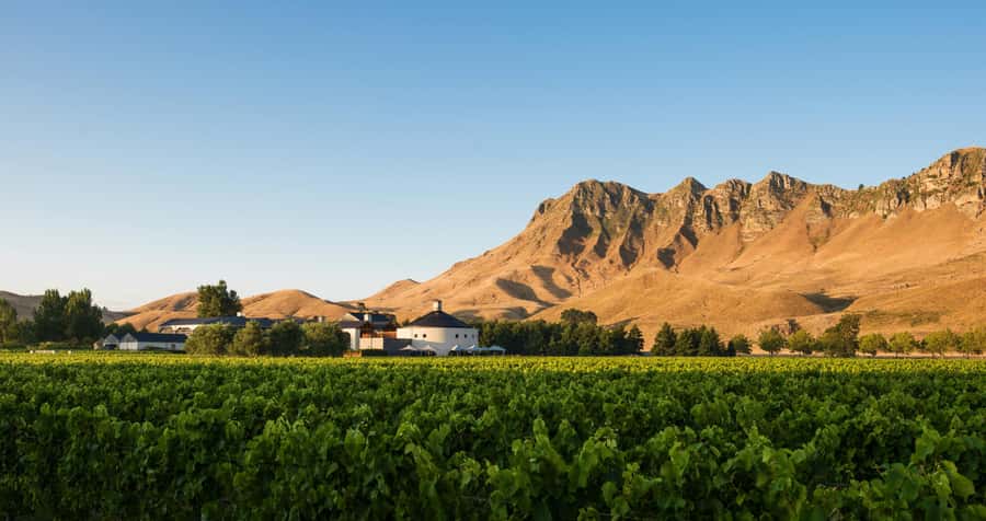 Hawke's Bay: Self Guided Coast to Vineyards Cycle Tour - Should you book the Coast to Vineyards ride?