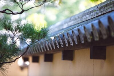 Hidden Kyoto E-Biking tour