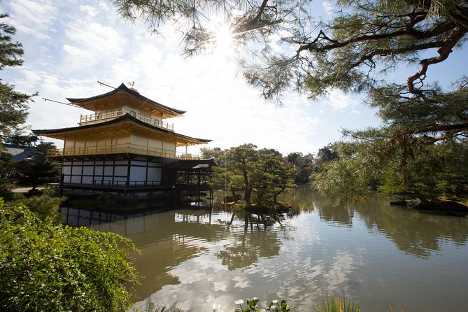 Hidden Kyoto E-Biking tour - Guides who bring the temples to life