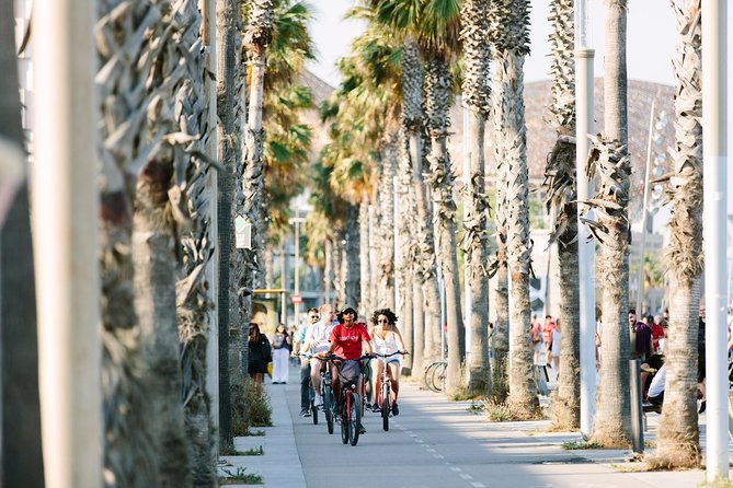 Highlights & Hidden Spots of Barcelona Bike Tour w/ Local Guide - Why a bicycle works so well in Barcelona
