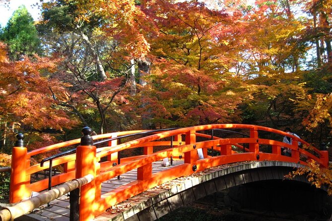 Historical Kyoto E-Bike Tour - Price, timing, and overall value