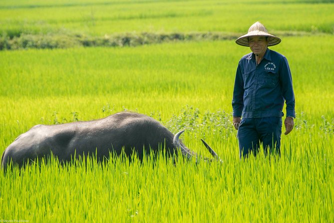 HOI AN Biking River Islands, Villages, Local Crafts PRIVATE TOUR - Returning by ferry