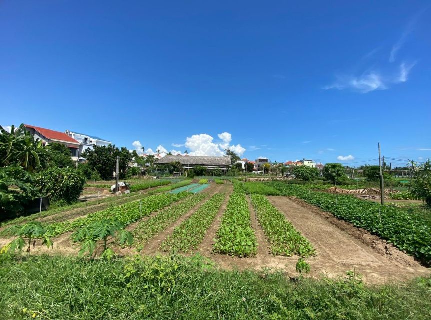 Hoi An: Rural Cycling Tour to Village with Basket Boat Ride - Why this rural ride works so well in Hoi An