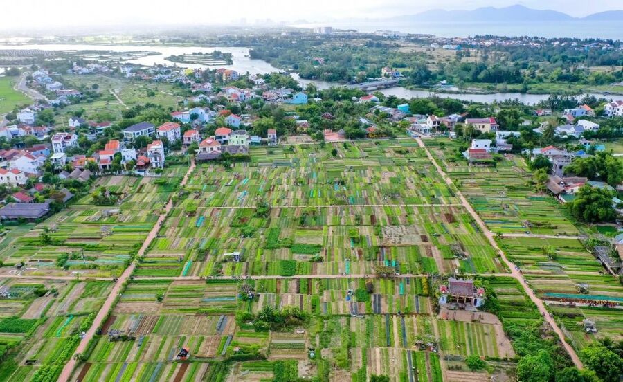 Hoi An: Rural Cycling Tour to Village with Basket Boat Ride - Tra Que Vegetable Village and simple farm work