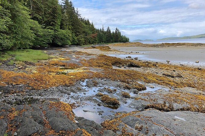 Ketchikan Electric Bike and Rain Forest Hike Ecotour - Is $161 a fair price?