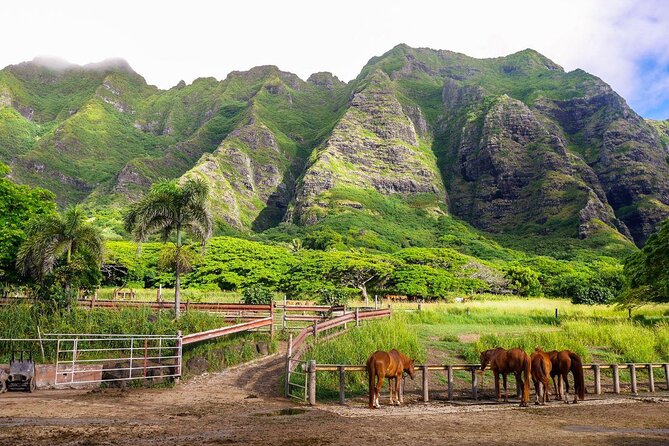 Kualoa Ranch: Novice E-Bike - Why this Kualoa ride is worth considering