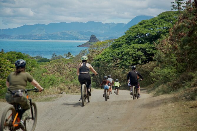 Kualoa Ranch: Novice E-Bike - Who should book the novice e-bike tour?