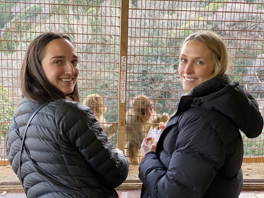 Kyoto: Afternoon Bamboo Forest and Monkey Park Bike Tour - The climb to Iwatayama Monkey Park