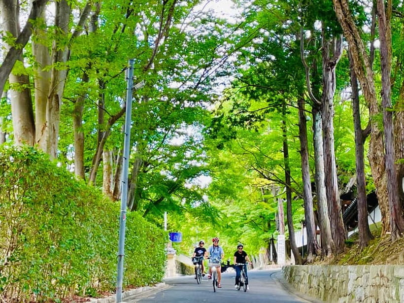 Kyoto: Fushimi Inari Shrine and Tofukuji Temple E-Bike Tour - Why an e-bike is a smart way to see Kyoto