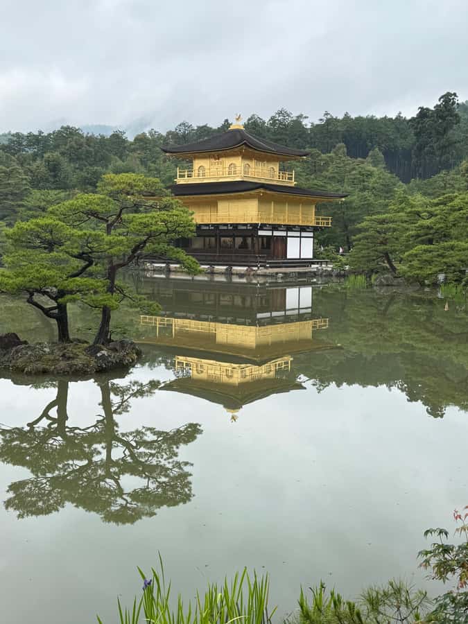 Kyoto: Memory Kyoto E-Bike Tour - Tenryuji Temple and one of Kyoto’s finest gardens