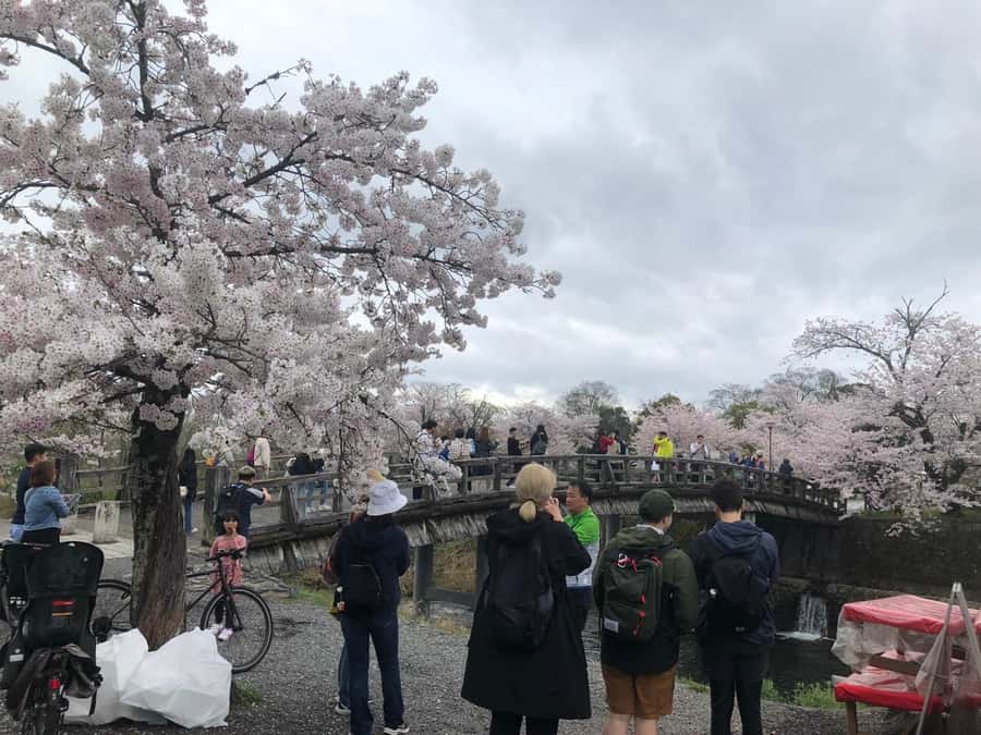 Kyoto: Memory Kyoto E-Bike Tour - Is $91 a fair price?